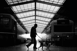 Walk The Dog by Graeme Heckels Travel & Street Photography Lisbon
