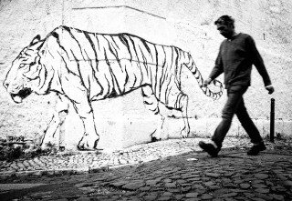 Walk the Tiger in Lisbon by Graeme Heckels Travel & Street Photography