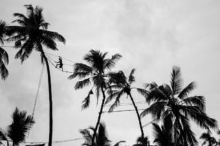 Graeme_Heckels_Sri Lanka Street Photography_Toddy_Tree Climbing
